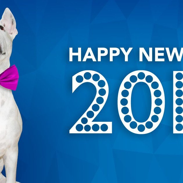 The words Happy New Year 2017 with dog with a bow tie next to it.