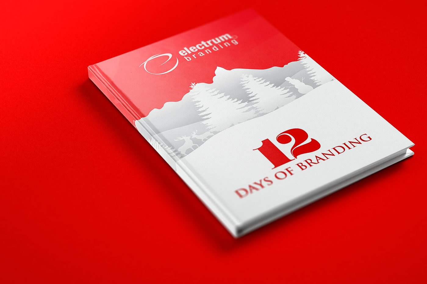 Book of 12 Days of Branding by Electrum Branding