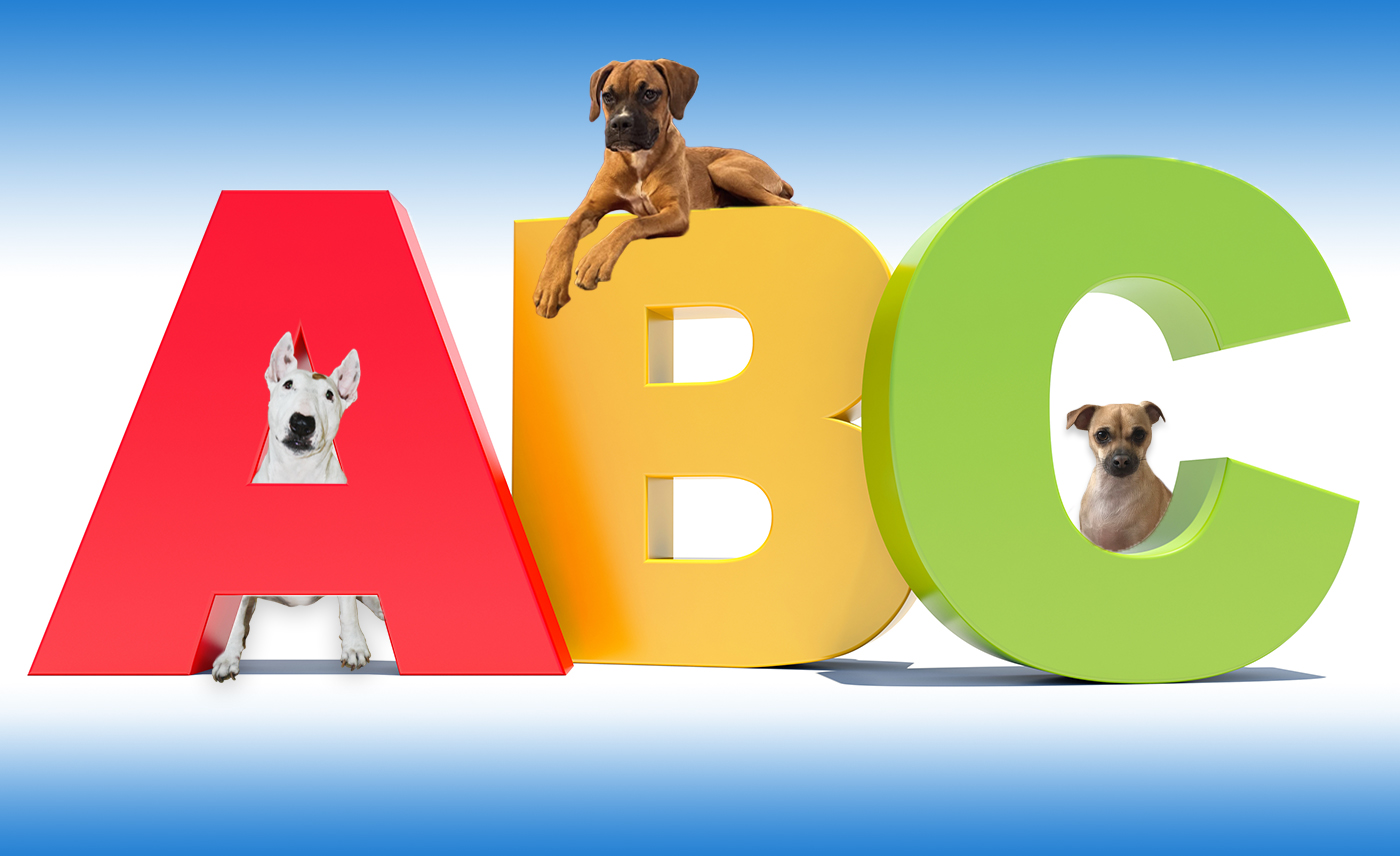 Letters A, B, C with three dogs.